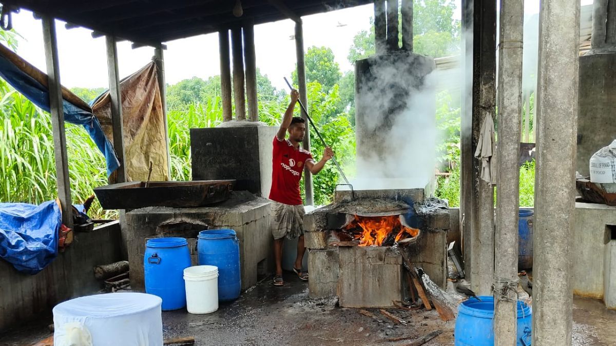 গরুর খামারের পাশে মিষ্টির কারখানা, জরিমানা ৭০ হাজার