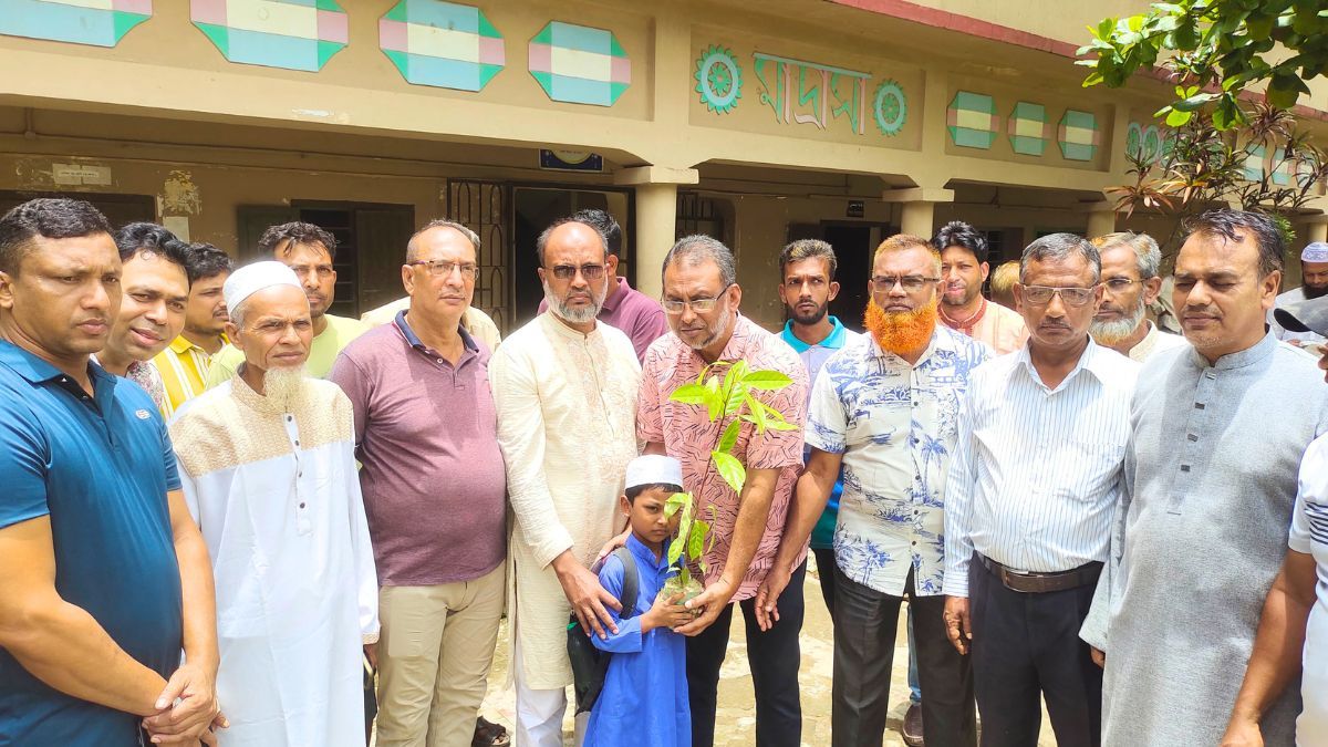 ফেনীতে কৃষক দলের বৃক্ষরোপণ কর্মসূচি