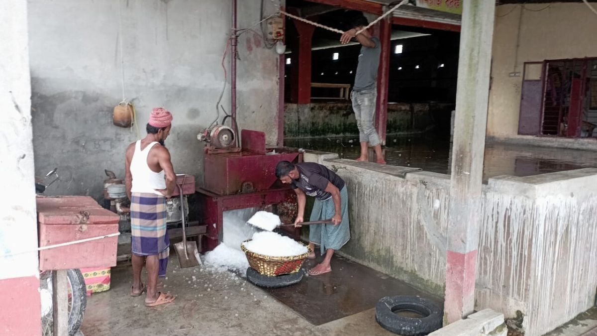 ইলিশের রাজ্যে বরফের জন্য হাহাকার, পচে যাচ্ছে মাছ