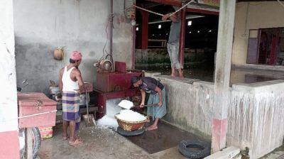 ইলিশের রাজ্যে বরফের জন্য হাহাকার, পচে যাচ্ছে মাছ