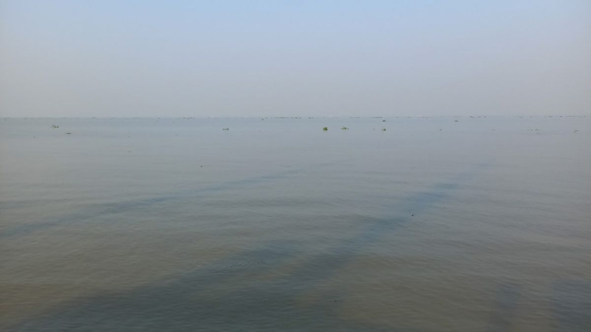 মেঘনা থেকে অজ্ঞাতনামা নারীর মরদেহ উদ্ধার