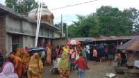 চুয়াডাঙ্গায় ঘাস কাটার মেশিনে বিদ্যুৎস্পৃষ্টে দুই ভাইয়ের মৃত্যু