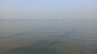 মেঘনা থেকে অজ্ঞাতনামা নারীর মরদেহ উদ্ধার