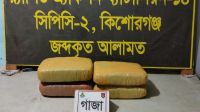 কিশোরগঞ্জে ১১ কেজি গাঁজাসহ দুই মাদক কারবারি গ্রেপ্তার