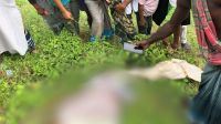 স্ত্রীর সামনেই ট্রেনে কাটা পড়ে শ্রবণপ্রতিবন্ধী বৃদ্ধের মৃত্যু