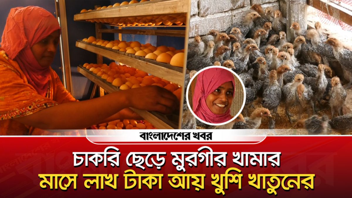 চাকরি ছেড়ে মুরগীর খামার, নারী উদ্যোক্তা খুশির মাসে লাখ টাকা আয়