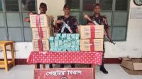 ফেনী সীমান্তে অর্ধকোটি টাকার ভারতীয় পণ্য জব্দ