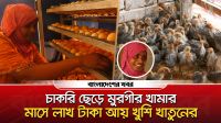 চাকরি ছেড়ে মুরগীর খামার, নারী উদ্যোক্তা খুশির মাসে লাখ টাকা আয়