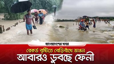 রেকর্ড বৃষ্টিতে বেড়িবাঁধে ভাঙন, আবারও ডুবছে ফেনী