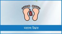 বেরোবি শিক্ষার্থীর ঝুলন্ত মরদেহ উদ্ধার
