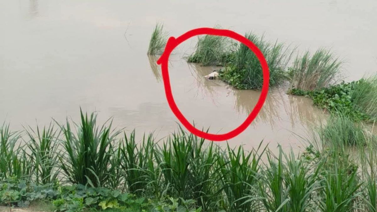 তুরাগ নদী থেকে অজ্ঞাত ব্যক্তির মরদেহ উদ্ধার