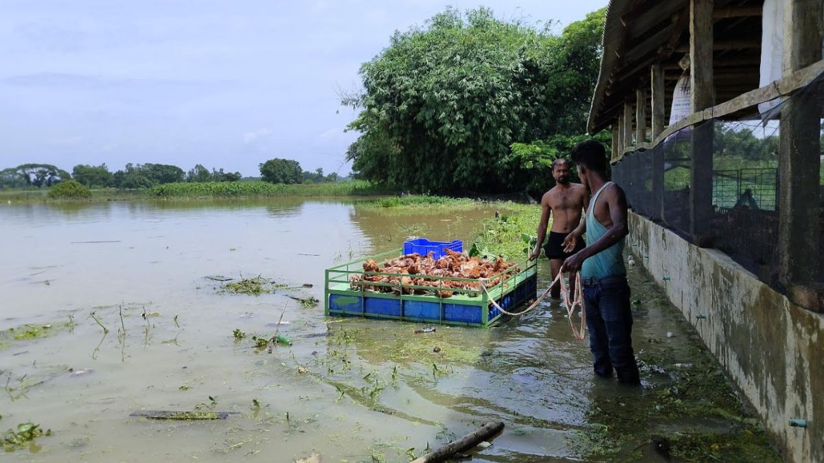 পানি নামছে, ঘরে ফিরেও নতুন দুর্ভোগে ফেনীবাসী