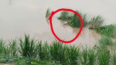 তুরাগ নদী থেকে অজ্ঞাত ব্যক্তির মরদেহ উদ্ধার