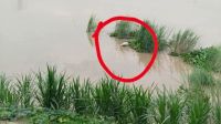 তুরাগ নদী থেকে অজ্ঞাত ব্যক্তির মরদেহ উদ্ধার