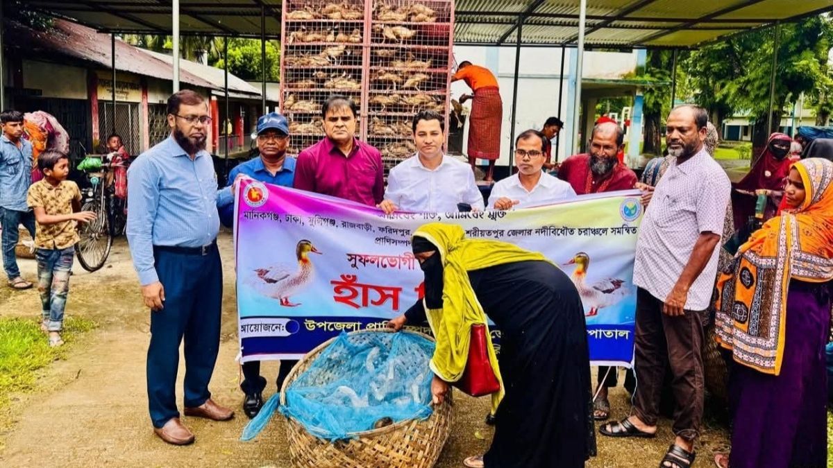 আলফাডাঙ্গায় চরাঞ্চলের খামারিদের মাঝে হাঁস বিতরণ