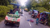 শ্রীপুরে ট্রাক-মোটরসাইকেলের মুখোমুখি সংঘর্ষে চালক নিহত