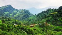 বান্দরবানে বিদ্যুৎস্পৃষ্টে একই পরিবারের ৩ নারী নিহত