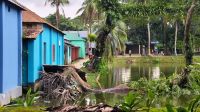 গাছ পড়ে মাটি ধস, ঝুঁকিতে মদন প্রেসক্লাবের ভবন