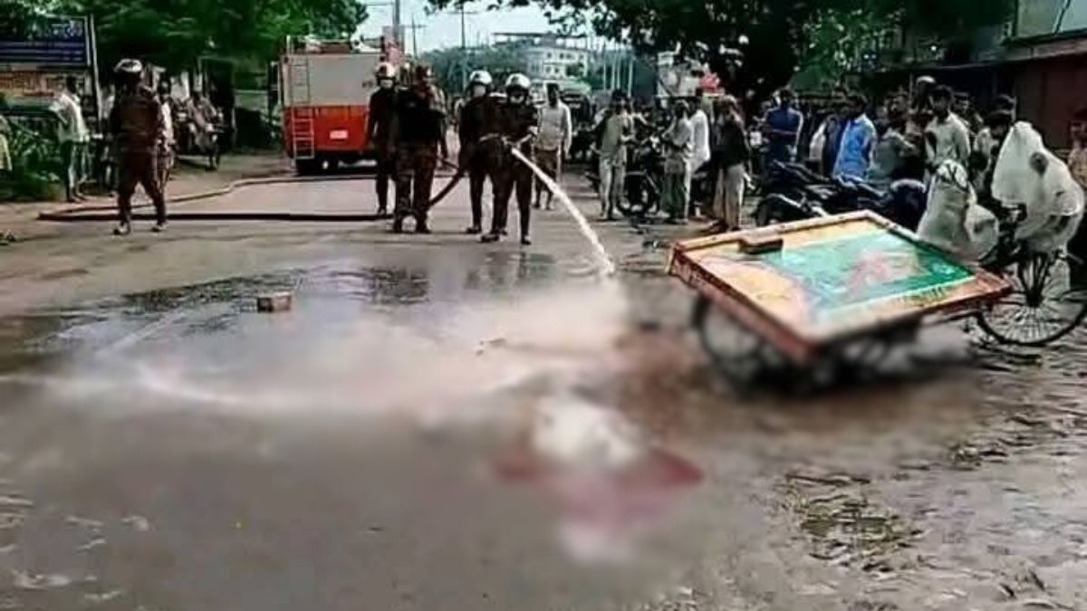 পাবনায় ট্রাকচাপায় ভ্যানচালক নিহত