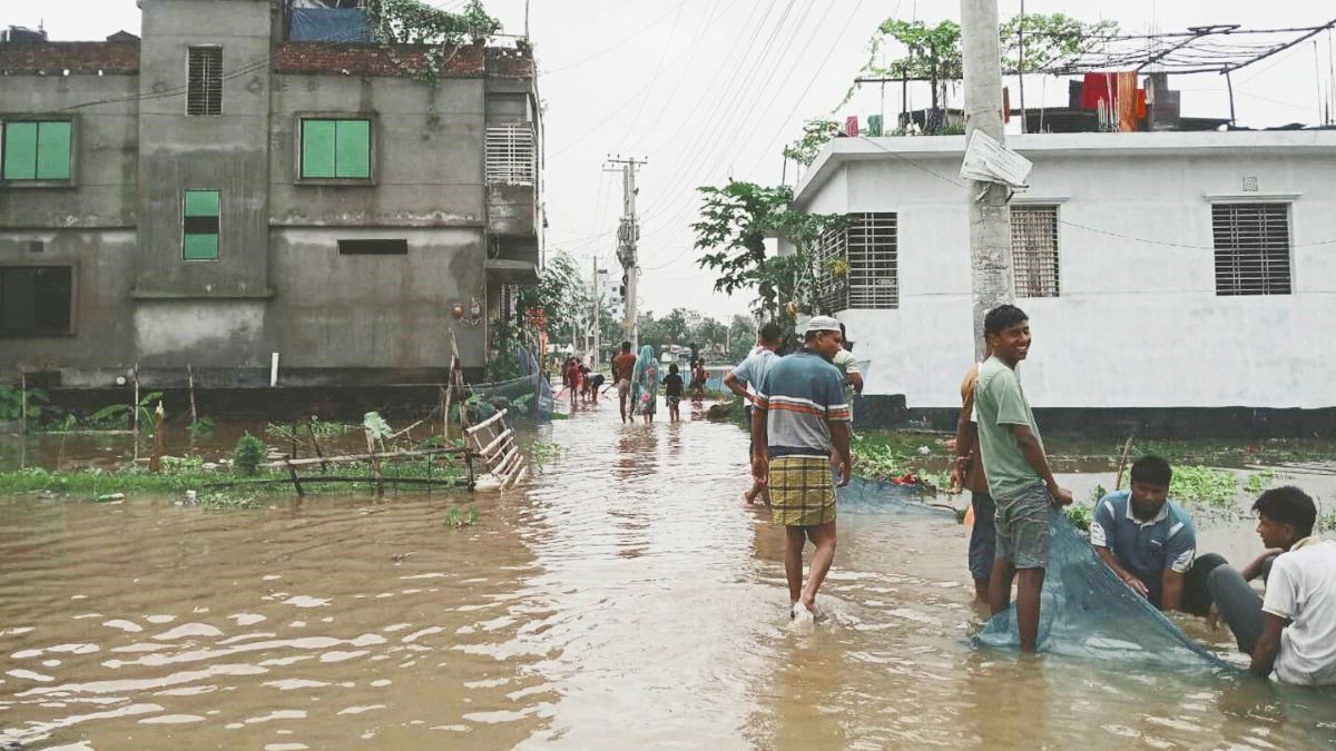 বৃষ্টিতে জলাবদ্ধ শেরপুর, রাস্তায় মাছ ধরছেন স্থানীয়রা