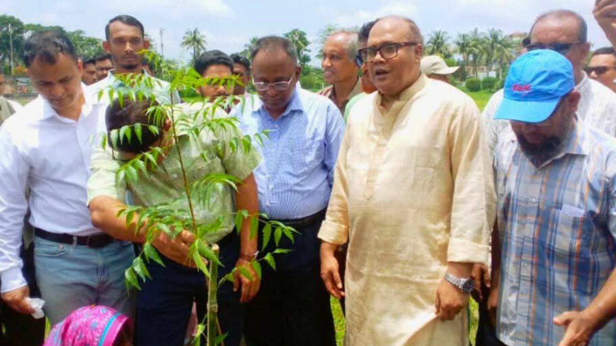 গণঅভ্যুত্থান স্মরণে পটুয়াখালীতে বৃক্ষরোপণ কর্মসূচি