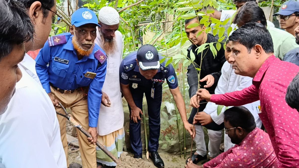 চাঁদপুরে ‘এক শহীদ, এক বৃক্ষ’ কর্মসূচিতে গাছ রোপণ