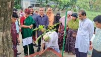 মুন্সীগঞ্জে গণঅভ্যুত্থানে শহীদদের নামে বৃক্ষরোপণ কর্মসূচি
