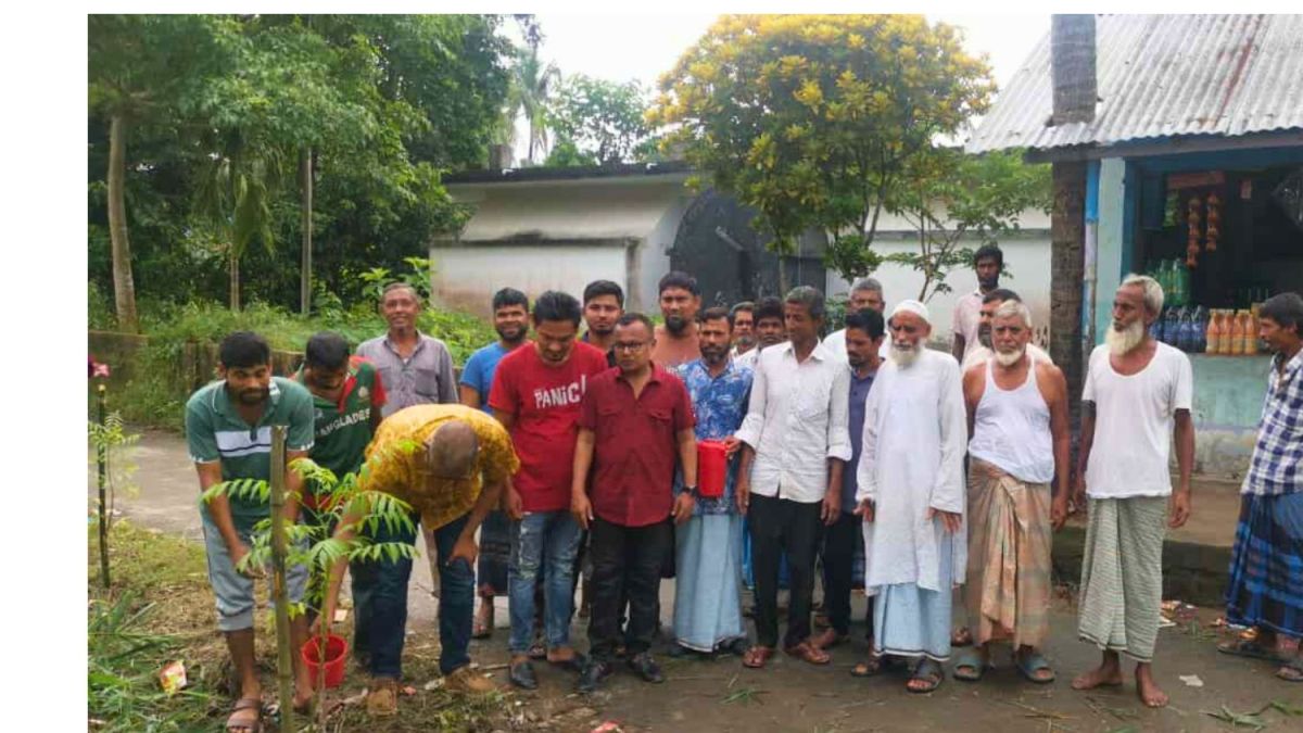 ফেনীতে শহীদদের স্মরণে বিএনপির বৃক্ষরোপণ কর্মসূচি শুরু
