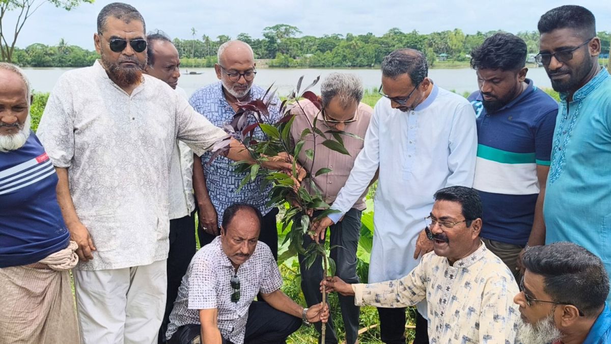 বাগেরহাটে শহীদদের স্মরণে বিএনপির বৃক্ষরোপণ কর্মসূচি