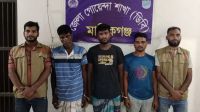 মানিকগঞ্জে ডিবির অভিযানে ইয়াবাসহ আটক ৩