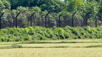ফেনী সীমান্তে বিএসএফের গুলিতে বাংলাদেশি নিহত