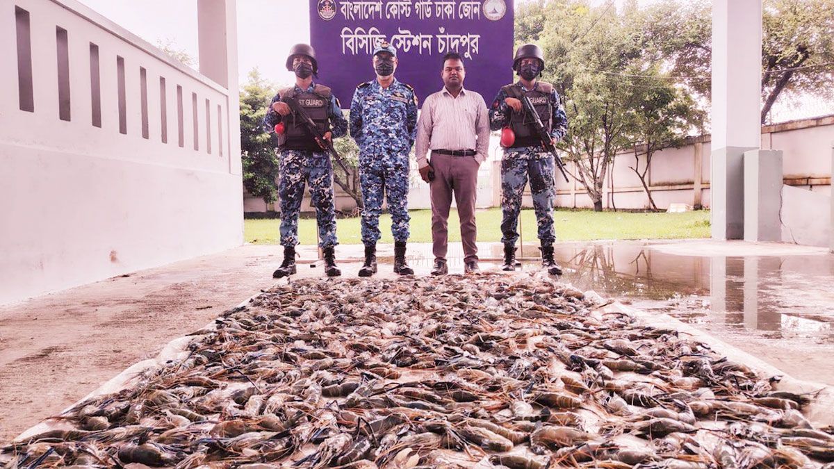 চাঁদপুরে ৩৯০ কেজি জেলিযুক্ত চিংড়ি জব্দ