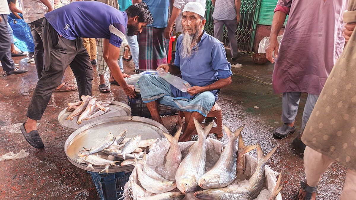 বরিশালে ভরা মৌসুমেও মিলছেনা ইলিশ, বেড়েছে দাম