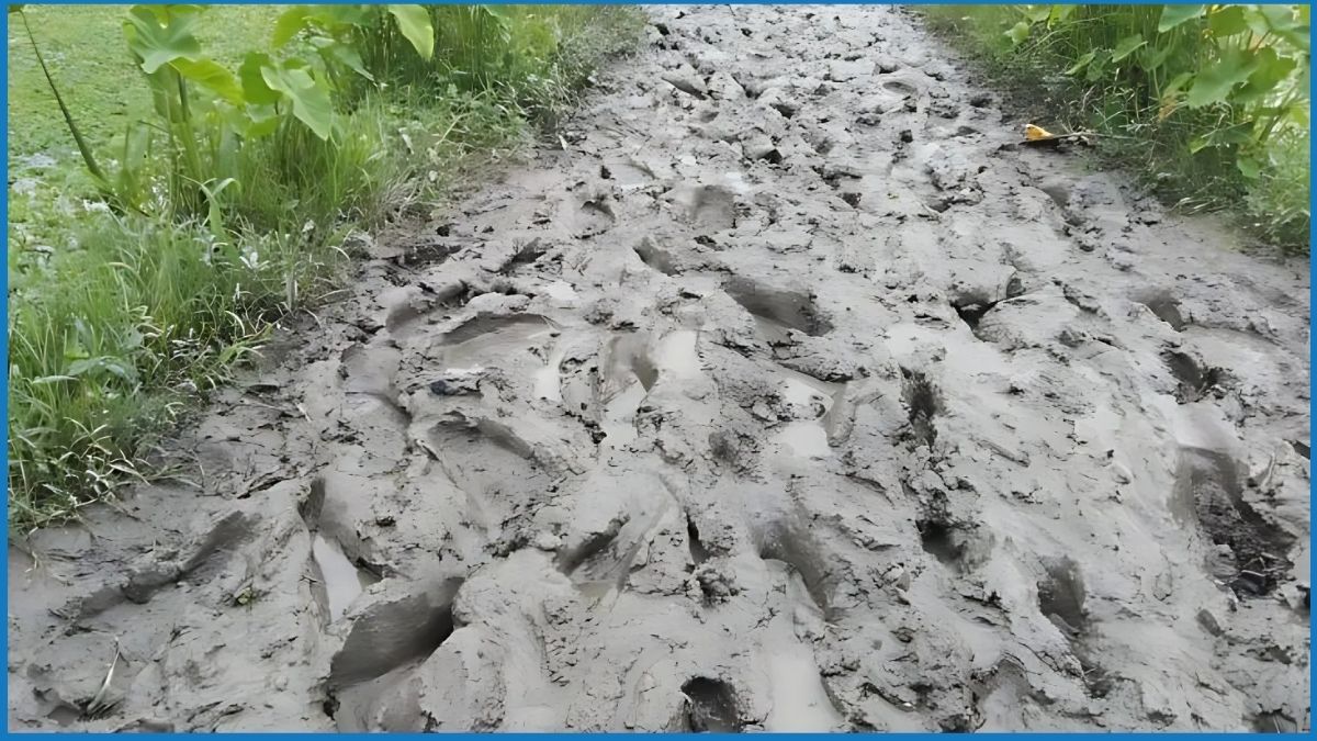 লালমোহনে সড়কের বেহালদশা, দুর্ভোগে এলাকাবাসী
