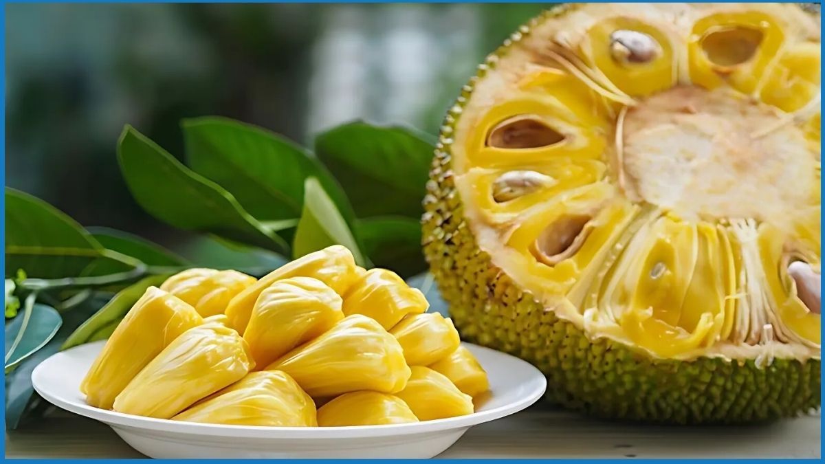 প্রথমবারের মতো সমুদ্রপথে সাড়ে ৩ টন কাঁঠাল রপ্তানি