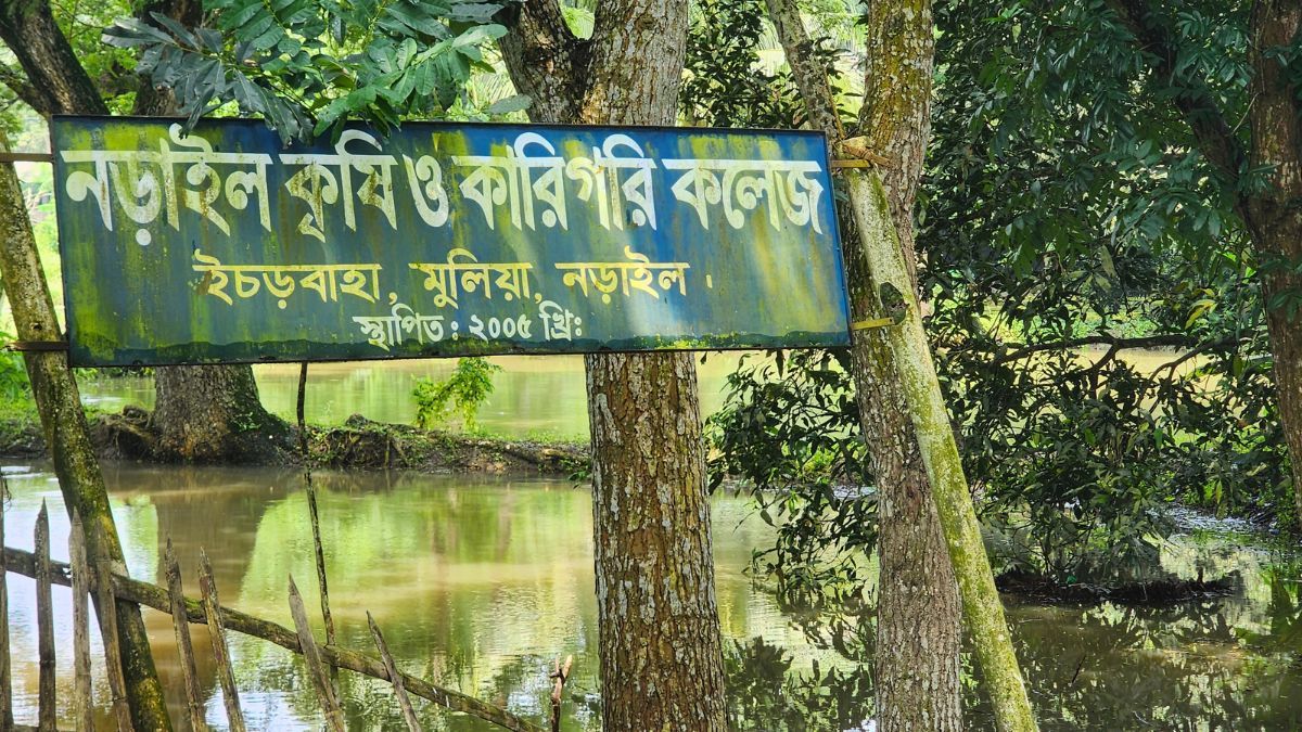 নড়াইল কৃষি ও কারিগরি কলেজে অনিয়মের অভিযোগ, তদন্ত শুরু