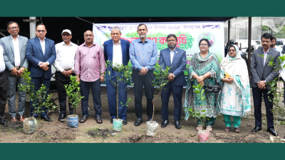 জুলাই পুনর্জাগরণ ও তারুণ্যের উৎসব ২০২৫ উপলক্ষে অগ্রণী ব্যাংকের বৃক্ষরোপণ কর্মসূচি