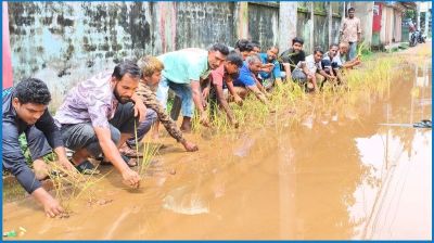 ঠাকুরগাঁওয়ে সড়কে ধান রোপণ করে এলাকাবাসীর প্রতিবাদ