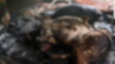 সখীপুরে কৃষকের গোয়ালে আগুন, ঋণের টাকায় কেনা ৪ গরু পুড়ে ছাই
