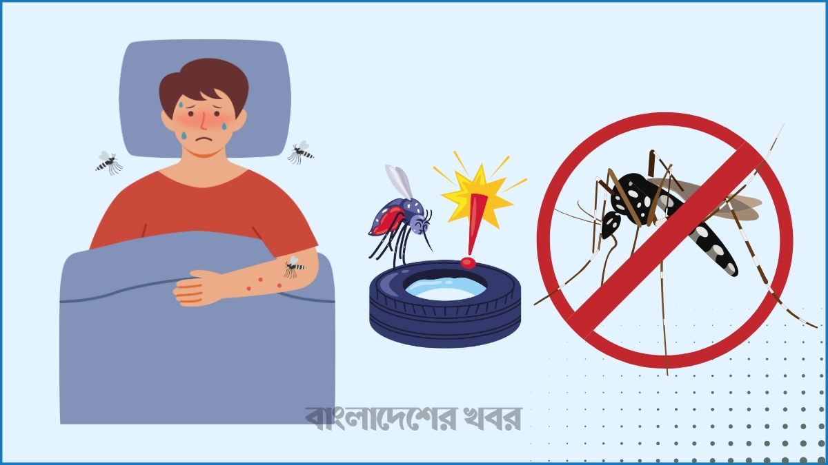২৪ ঘণ্টায় ডেঙ্গুতে মৃত্যু ১, আক্রান্ত ৩৮২