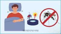 ২৪ ঘণ্টায় ডেঙ্গুতে মৃত্যু ১, আক্রান্ত ৩৮২