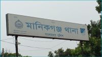 মানিকগঞ্জে আ.লীগ নেতার খামার থেকে ৫ গরু লুট