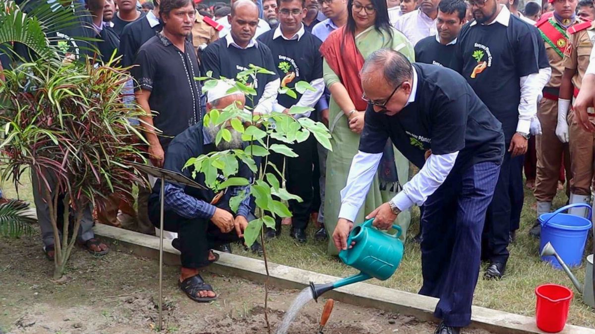সৌন্দর্যবর্ধক বৃক্ষ মানসিক প্রশান্তি বাড়ায় : শরফ উদ্দিন