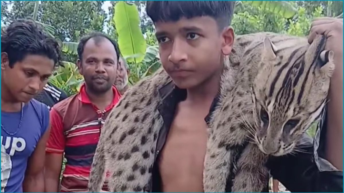ঝিনাইদহে আহত মেছো বাঘকে পিটিয়ে হত্যা