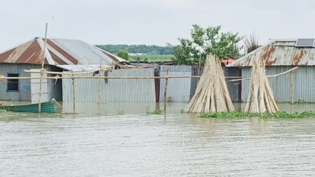 কুষ্টিয়ায় ফারাক্কার বিরূপ প্রভাব, পানিবন্দি ২০ হাজার পরিবার