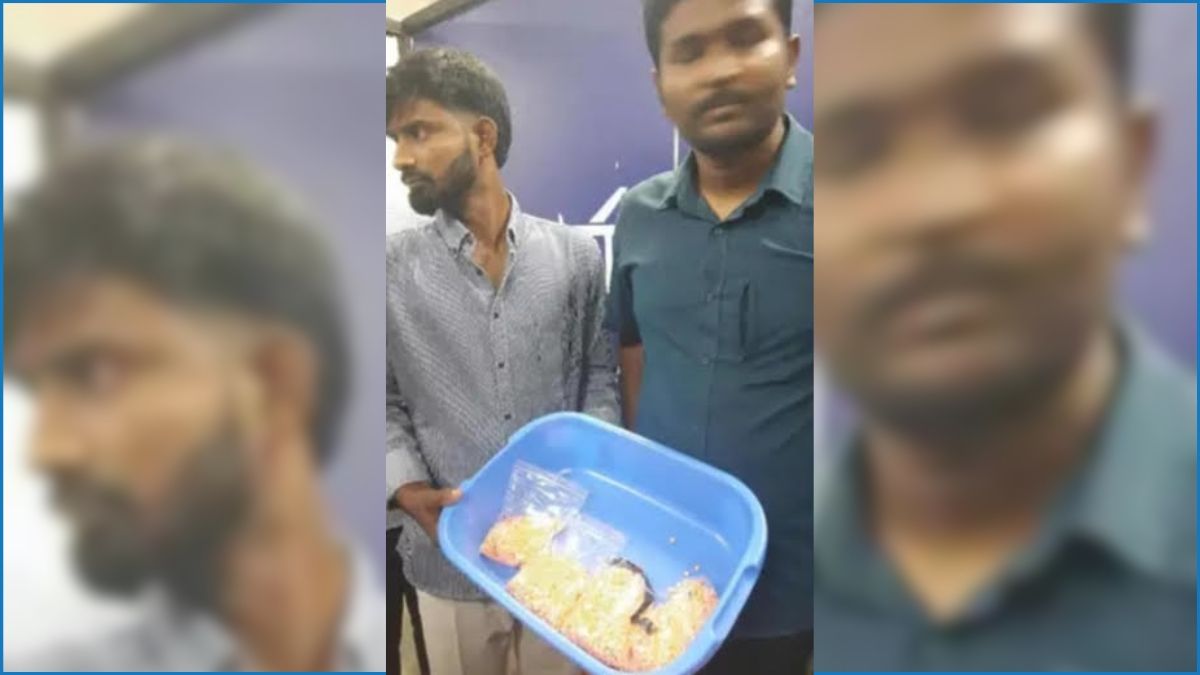 ক্রিকেট ব্যাটে লুকিয়ে ইয়াবা বহন, আটক ২