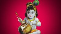 শ্রীকৃষ্ণের জন্মাষ্টমী উপলক্ষে বীরগঞ্জে বর্ণাঢ্য শোভাযাত্রা ও আলোচনা সভা