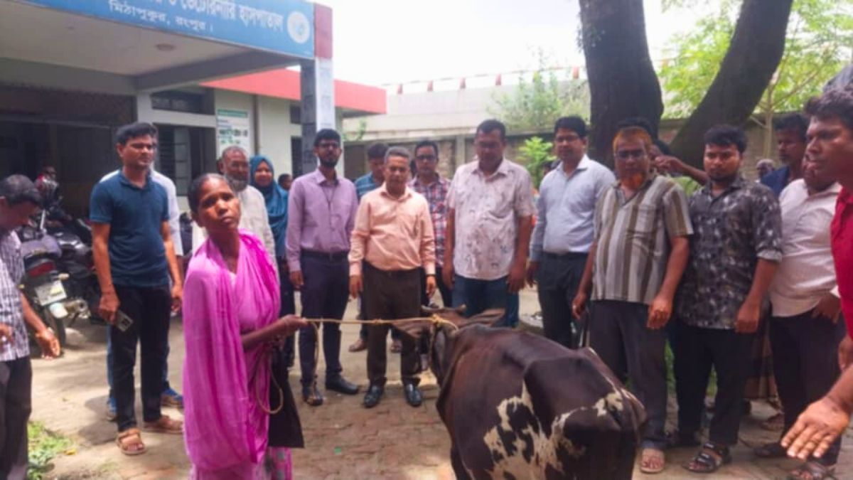 মিঠাপুকুরে ক্ষুদ্র নৃ-গোষ্ঠীর ৭০ পরিবার পেল বিনামূল্যে বকনা গরু