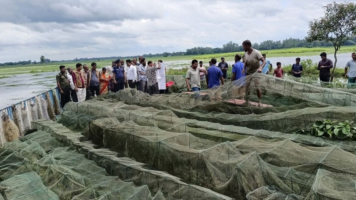 ঠাকুরগাঁওয়ে অবৈধ জাল ধ্বংস করল প্রশাসন