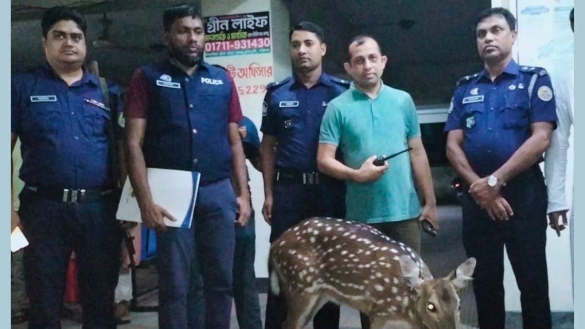 লালমোহনে ভেসে আসা চিত্রা হরিণ উদ্ধার